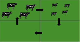 Figure 5. Forward Grazing