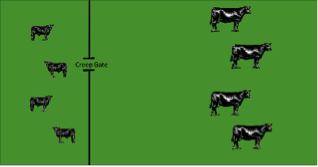 Figure 4. Creep Grazing