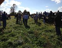 Pasture Walk