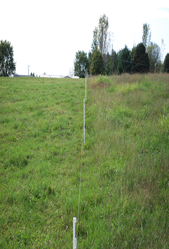 Rotational vs. Continuous Grazing