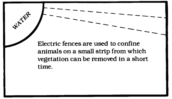 An example of strip grazing