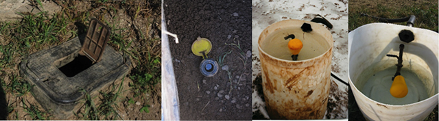 Figure 1. Bill Payne’s temporary winter watering system. 